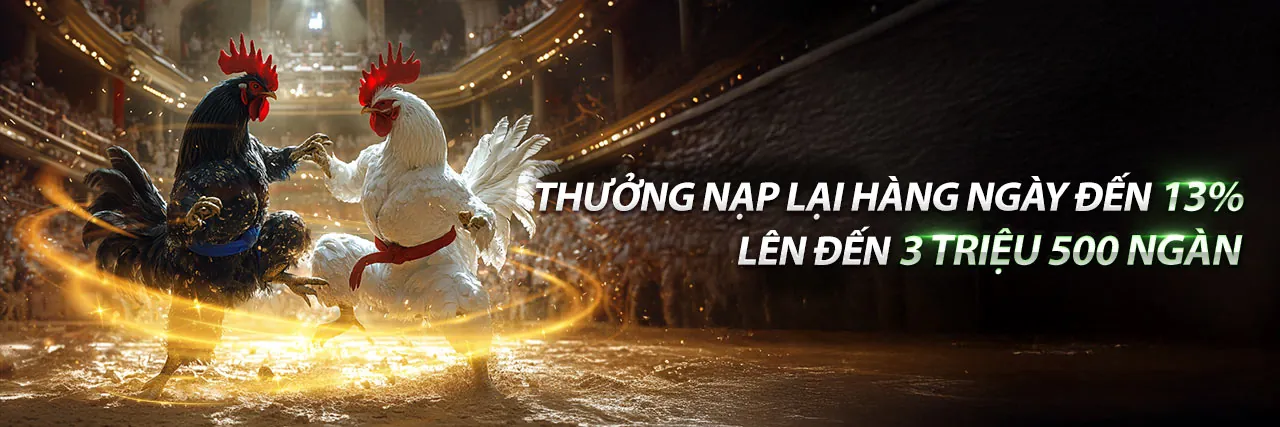 Đá Gà 67 Trực Tuyến